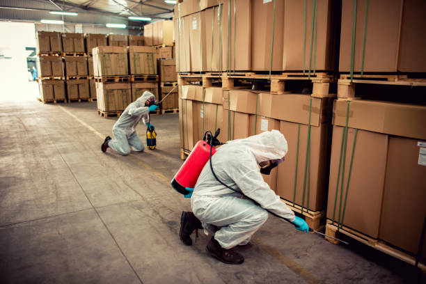 Trusted Hometown, IL Pest Control Experts