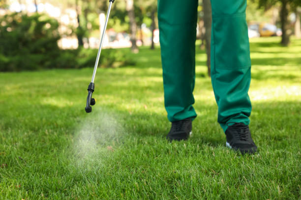 Best Affordable Pest Control Services  in Hometown, IL