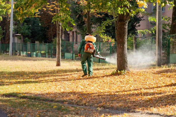 Best Bird Control  in Hometown, IL