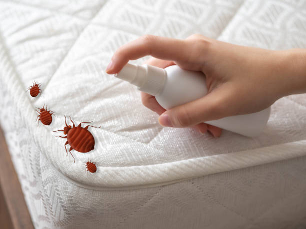 Best Pest Control for Restaurants  in Hometown, IL