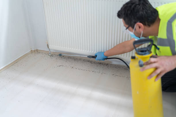 Best Best Pest Control Companies  in Hometown, IL
