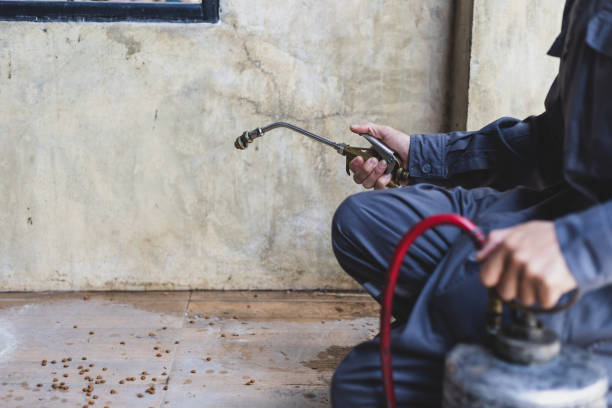 Best Affordable Exterminators  in Hometown, IL